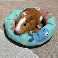 Summer Rattan Cooling Nest for Moles, Rabbits, Guinea Pigs, and Small Pets