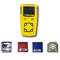 SR-W-MP75C BW Gas CO/H2S /SR-X2Vsensor