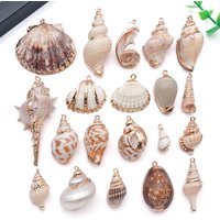 5pcs Natural Seashell Charms Beach Conch Pendants for DIY Bracelets Necklaces Earrings Jewelry Making Accessories