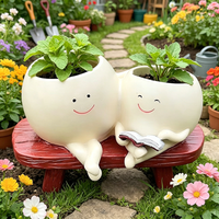 Cute resin succulent flowerpot indoor and outdoor garden home decoration double headed flowerpot unique desktop decoration