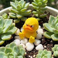 Cartoon Multicolor 3D Print Angry Duck Mini Desktop Ornament Kids Toy Craft Decor