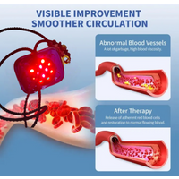 No Side Effect Laser Blood Irradiation 650nm Diode Laser Physiotherapy Promotes Blood Flow for Home Care
