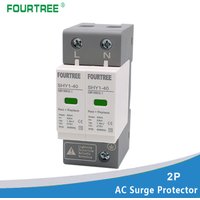 SPD AC 2P Surge Protection 20〜40KA 30KA〜60KA House Lightning Protector Low-Voltage Arrester Device 275V 385V Din Rail