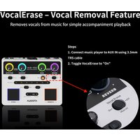 AUDOTA AVE-100 Vocal Processor- Auto-Tune, 3 Harmony Modes & Reverb/Delay Effects with XLR/Jack Input for Live Performance