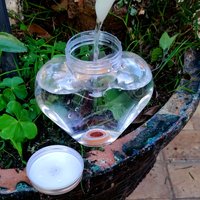 4pcs Cute Indoor Drip Irrigation Watering System Automatic Auto Water Dripper Device Home Garden Vacation Plants Flower Waterers