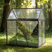Micro Moss Rainforest Landscape Glass Terrarium Miniature Garden Moss Ecosystem Desktop Greenhouse Indoor Home Table Vase