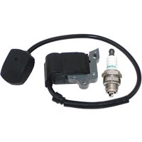 Ignition Coil For Tanaka BL9000 286095,