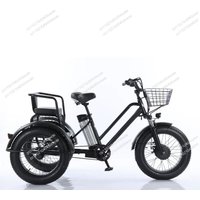 Electric Bbicycle Snow Off-road Double Electric Trike Electric Tricycle 500W48V12AH Lithium Battery 20*4.0 Fat Tire with Seat