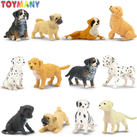 12Pcs Toymany Mini Dog Animal Figures Simulation Pet Model Toys for Kids Children Gift Set Collectible Dolls Figurines