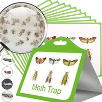 Pest Moth Traps Insect Catcher Fly Sticky Traps Garden Pantry Food Fly Catcher Sticker Plate Trap Pheromone Moth Sticker Killer