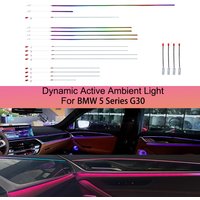 11 Colors Dynamic Ambient Light for BMW 5 Series G30 , G30 Interior Lighting Upgrade,Car Ambient Light Brightness Upgrade