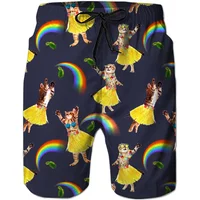 Funny Dinosaur Cat Graphics Beach Shorts Men 3D Print Animal Surfing Board Shorts Summer Hawaiian Swim Trunks Cool Ice Shorts