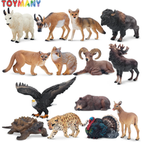 Toymany Simulation Mini North American Animals Model Toy 14 pcs Mini Figures Dolls Action Figurines Toys Children Gift Cake Dec