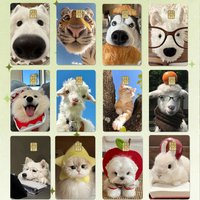 Cute Pet Puppy Kitten Lamb Credit Debit Card Sticker Bread Dog Bus Pass DIY Waterproof Small Chip Film Sticker Decoration Gift