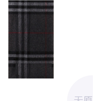 Burberry The Classic Check Fringed Scarf 39137310260B