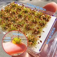 0.29inch Artificial Mini Static Grass Cluster Model Plants Flower Tuft Diy Making Project Sand Table Layout Scene Garden Decor