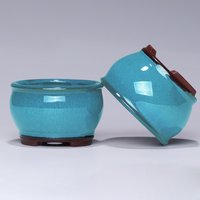 Ceramic Succulent Flower Pot Ceramic Plant Pots with Drainage Holes for Windowsills Shelves Gardens and Patios