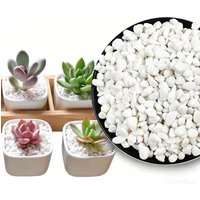 100/200G White Decorative Stones-Perfect for Aquariums, Gardening,DIY Crafts, Vase Filler & Outdoor Garden Fish Decorations