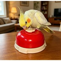 Press Bird Training & Feeding Bell, Interactive Educational Toy for Parrots, Budgies, Cockatiels & Other Pet Birds