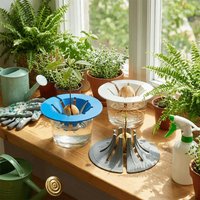 Soil-Free Avocado Planter Plastic Sprouting Setup Hydroponic Grow Kit Growing System Cultivation Device Seedling Tray