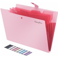 5 Pocket A4 Size Document Folders Accordion Folder File Organization Plastic Pouch with Snap Button WJJ06
