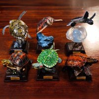 IKIMON Nature Techni Colour Japanese Turtle Special Edition Capsule Toys Sea Turtle Yellow Margined Box Turtle Red Eared Slider