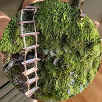 1Pcs Miniature Fairy Garden Decor Wooden Fairy Bridge with Rope Ladder for Home Courtyard Mini Landscape Photography Prop