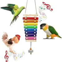 Colorful Bird Xylophone Toy Parrots Chicken Toys Bird Cage Toy Accessories Parakeets and Parrots Toys Bird Bell Toy