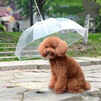 1 Pcs Creative Teddy Poodle Small Dogs Leading Umbrellas Walking Dogs Traveling Out Dogs Waterproof Poncho Pet Products