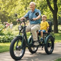 24 Inch 3 Wheels Off Road Electric Bicycle Mountain With Passenger Seat For Adults 750W Electric Tricycle 2 Seat For Elderly