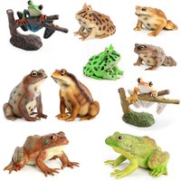 Realistic Toad American Bullfrog Tree Frog Horned Frog Figurine Rainforest Woodland Animal Model Figure Educational Toys Gift