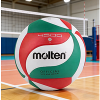 Molten V5M2700/V5M5000/V5M4500 Size 5 Volleyball Ball Standard High Quality Balls Outdoor Indoor Match Training Sports Adults