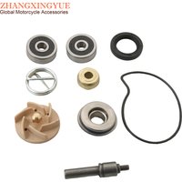 Gts250 Gtv250 Gts300 Water Pump Repair Kit For Vespa Gts Gtv 250cc Gts 300cc 100110210