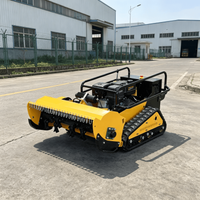 All Terrain High Horsepower Diesel Remote Control Lawn Mower Self Propelled RC Tracked Brush Cutter Machine Heavy Duty Weed Trim