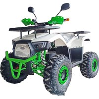1000w Quad Bike Mini Atvs Beach Buggy 4 Wheel Quad Bikes Atv Electric Sports Vehicles 4 Wheeler Electric ATV for Kids Adult