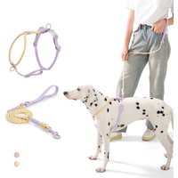 Small And Medium Dogs Harness For Summer Pet dog Walking Running Outdoor Fashion Harness No Pull Safety Reflective Nylon Leashes
