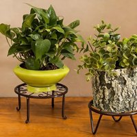Metal Flower Stand for 1-2 Pots Floor-standing Plant Rack Suitable for Indoor Living Room Balcony Green Radish Succulent Holder