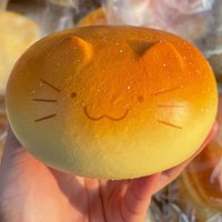 Cute Squishy Totoro Bread Fidgets Toy Soft kitty Bread Venting Squeeze Toys Relieve Anxiety Anti Stress Toy for Adults Gift