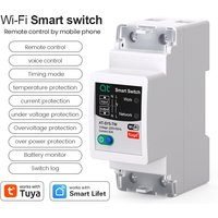 Tuya WiFi circuit breaker 2P 63A electric quantity statistics rail installation, remote control of smart home by smart life APP