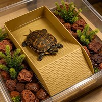 Turtle Water Bowl Reptile Bathing Dish with Ramp Aquarium Ornament Water Bowl for Turtle Bearded Dragon Lizard Gecko Snake