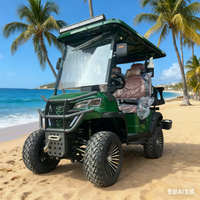 Electric Golf Buggy, Golf cart Golf Trolley Adult Electric Quadricycle 2 4 6 Seater Car Solar Panel with Remote control lock