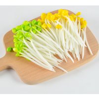 20 pcs Elastic Stress Relief Toy Interest Bean Sprouts Stretch Vegetable Model Sprouts Decompression Simulation Kitchen Decor
