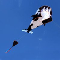 Neuer 2,2m großer Wal-/Delfin-Lenkdrachen – Leicht zu fliegender Einleiner-Softdrachen mit 100 Meter Drachenschnur für Kinder und Erwachsene