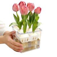 Hydroponic Containers With Breathable Support Basket Tulips Seed Hydroponic Flowerpot 4 Holes Soilless Flower Pot Home Decor