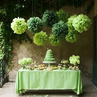 13Pcs Green Tissue Paper Pom-Pom Decoration Set, Tissue Paper Flowers Hanging Paper Flower Decorations for Weddings, Birthdays, and Party Decorations.