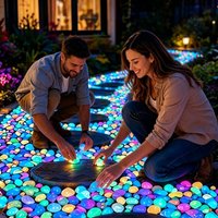 Glowing Garden Pebbles 200 Pieces Outdoor Garden Glowing Rocks Driveway Glow Stones for Walkway Yard Backyard Pathway Driveway