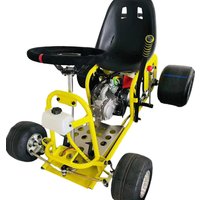 Karting Car Crazy Mini Kids Electric Drifting Drift Go Kart 200cc Adult 3 Wheel 360 Fast for Adults Sale Drift Party with Lights