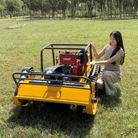 Customized Mini Farm Flail Lawn Mower 800mm Rc Diesel Power Crawler Lawn Mower for Grass Cutting