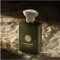Amouage Reflection XIV Menโs Perfume 100ml Long Lasting Warm Woody Aromatic Scent Bold Masculine Elegant Fragrance Decision Lux