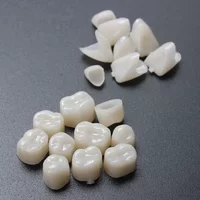 Resin Teeth Dentistry Dental Temporary Crown Material for Anterior & Molar Teeth Protecting Oral Care Whitening Stable C854-LJX